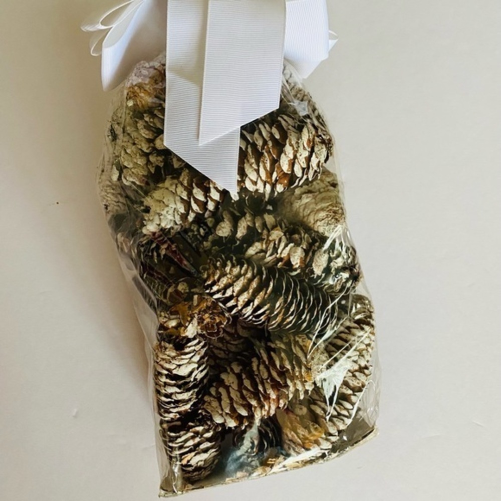 Archipelago Botanicals winter frost scented pine cone potpourri
